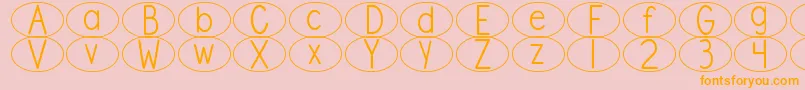 DjbStandardizedTestOval Font – Orange Fonts on Pink Background