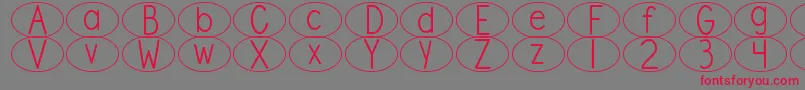 フォントDjbStandardizedTestOval – 赤い文字の灰色の背景