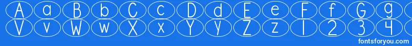 DjbStandardizedTestOval Font – White Fonts on Blue Background