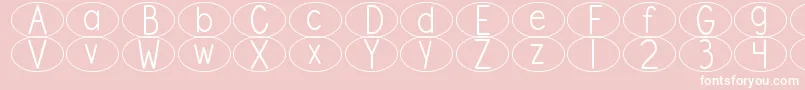 DjbStandardizedTestOval Font – White Fonts on Pink Background