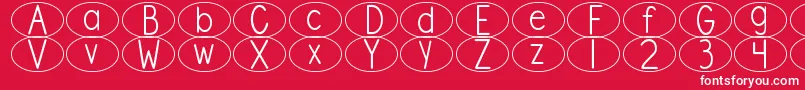 DjbStandardizedTestOval Font – White Fonts on Red Background