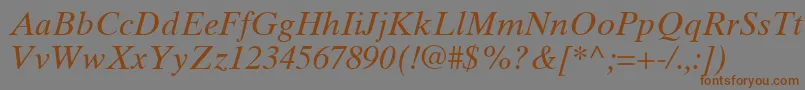 TimesTenGreekInclined Font – Brown Fonts on Gray Background