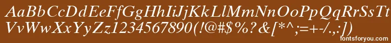 TimesTenGreekInclined Font – White Fonts on Brown Background