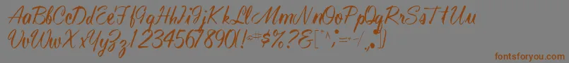 Technoworks70Regular Font – Brown Fonts on Gray Background