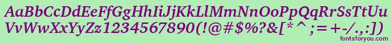 CharterItcBoldItalic Font – Purple Fonts on Green Background