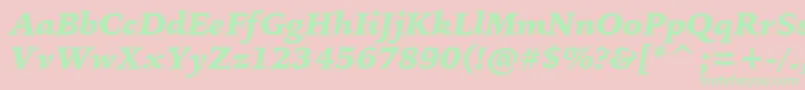 BitstreamIowanOldStyleBlackItalicBt Font – Green Fonts on Pink Background