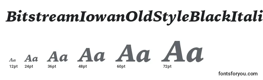 BitstreamIowanOldStyleBlackItalicBt Font Sizes