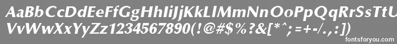 Optaneextrabold ffy-Schriftart – Weiße Schriften auf grauem Hintergrund