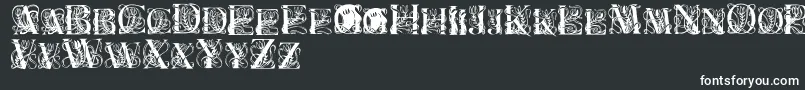 ElzevierR-fontti – valkoiset fontit mustalla taustalla