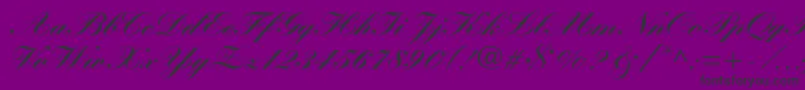 KuenstlerscriptltstdBlack Font – Black Fonts on Purple Background