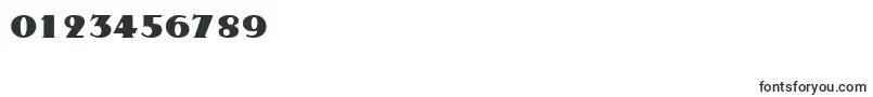 TatiodisplaysskRegular Font – Fonts for Numbers and Digits
