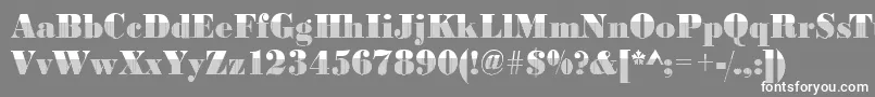 フォントBodonivert3Regular – 灰色の背景に白い文字