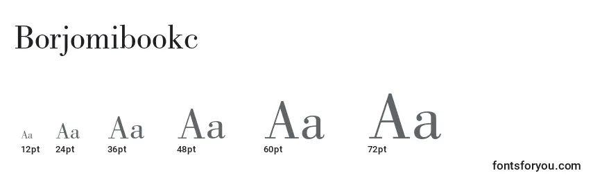 Размеры шрифта Borjomibookc