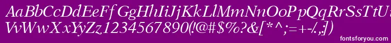 OrchidsskItalic Font – White Fonts on Purple Background