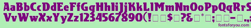 CotranDisplaySsi Font – Purple Fonts on Green Background