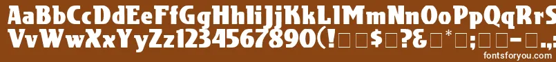 フォントCotranDisplaySsi – 茶色の背景に白い文字