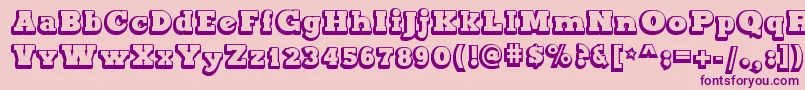 MaxxiSerifOutlineBold Font – Purple Fonts on Pink Background