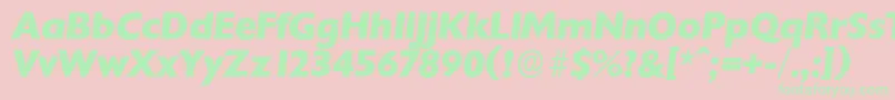 ChantillyserialXboldItalic Font – Green Fonts on Pink Background