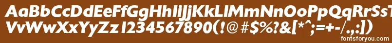 フォントChantillyserialXboldItalic – 茶色の背景に白い文字