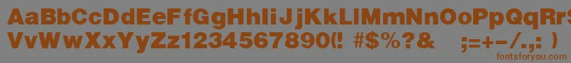 UltraRegular-Schriftart – Braune Schriften auf grauem Hintergrund