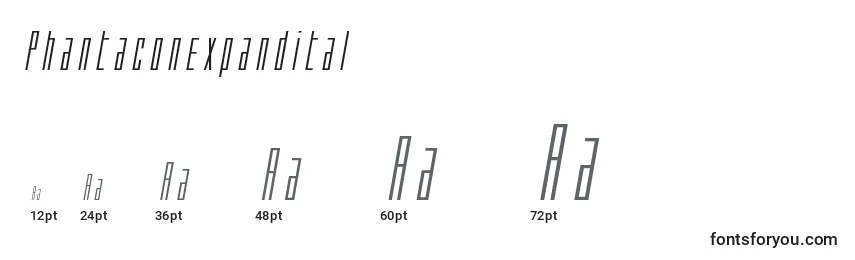 Phantaconexpandital Font Sizes