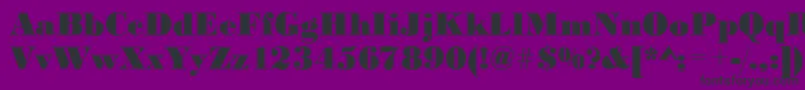 フォントBodoniBlackRegular – 紫の背景に黒い文字