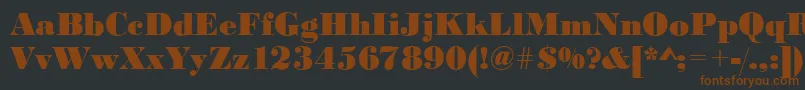 BodoniBlackRegular Font – Brown Fonts on Black Background