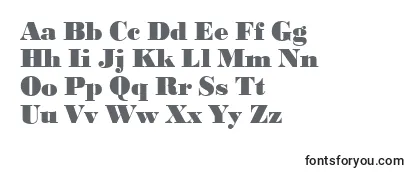 Review of the BodoniBlackRegular Font