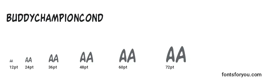 Buddychampioncond Font Sizes