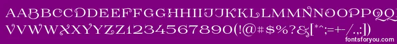 フォントPrida61 – 紫の背景に白い文字