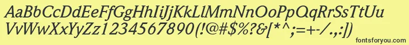 WeidemannstdMediumitalic Font – Black Fonts on Yellow Background