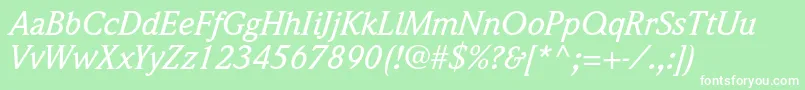 WeidemannstdMediumitalic Font – White Fonts on Green Background