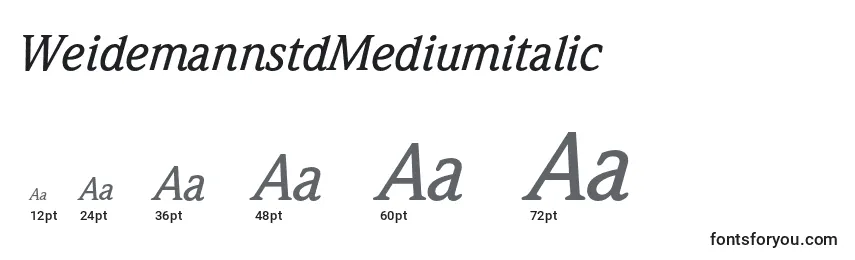 WeidemannstdMediumitalic Font Sizes