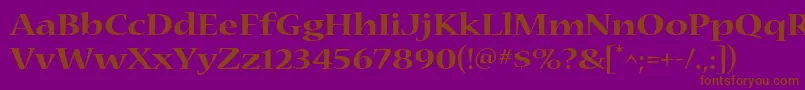 NuevastdBoldextended Font – Brown Fonts on Purple Background