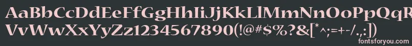 NuevastdBoldextended Font – Pink Fonts on Black Background