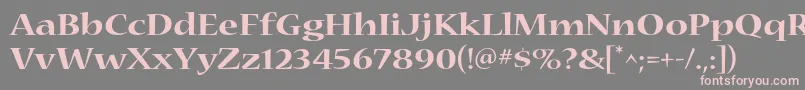 NuevastdBoldextended Font – Pink Fonts on Gray Background