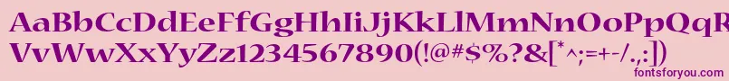 NuevastdBoldextended Font – Purple Fonts on Pink Background