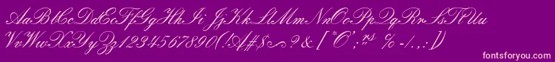 SorrentoScriptEs Font – Pink Fonts on Purple Background