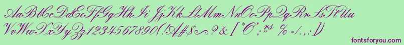 SorrentoScriptEs Font – Purple Fonts on Green Background