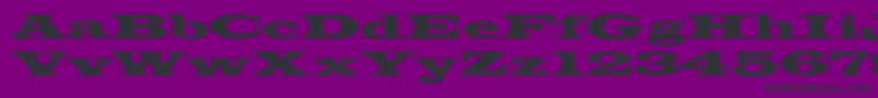 JamesWideextNormal Font – Black Fonts on Purple Background