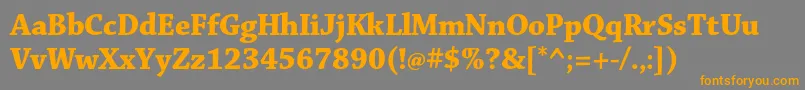 ChaparralproBolddisp Font – Orange Fonts on Gray Background