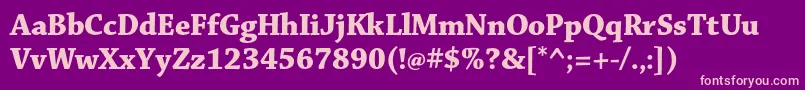 ChaparralproBolddisp Font – Pink Fonts on Purple Background