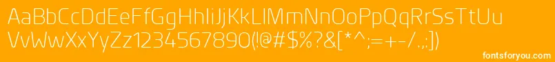 PlanerLight Font – White Fonts on Orange Background