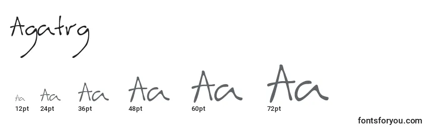 Размеры шрифта Agatrg