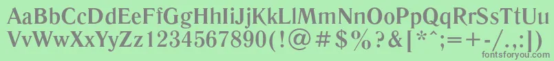 LiteraturnayaBold Font – Gray Fonts on Green Background