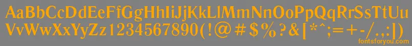 LiteraturnayaBold Font – Orange Fonts on Gray Background