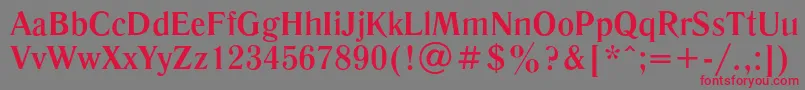 LiteraturnayaBold Font – Red Fonts on Gray Background