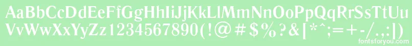 LiteraturnayaBold Font – White Fonts on Green Background
