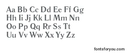 LiteraturnayaBold Font