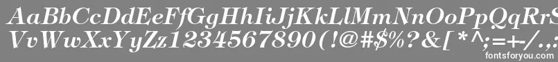 フォントTiffanystdDemiitalic – 灰色の背景に白い文字